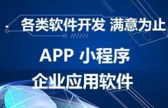 应用软件、网站开发、App开发等 软件开发，小程序开发